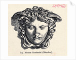 Illustration of Head of Medusa by Anonymous