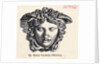 Illustration of Head of Medusa by Anonymous