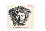 Illustration of Head of Medusa by Anonymous