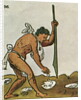 Planting Corn by Anonymous