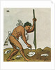 Planting Corn by Anonymous