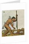Planting Corn by Anonymous