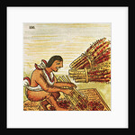Illustration of an Aztec Man Threshing Amaranth from the Florentine Codex by Anonymous
