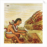 Illustration of an Aztec Man Threshing Amaranth from the Florentine Codex by Anonymous