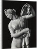 Sculpture of Venus by Anonymous