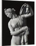 Sculpture of Venus by Anonymous
