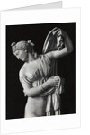 Sculpture of Venus by Anonymous