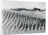 Sand Dunes with Oasis by Anonymous