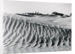 Sand Dunes with Oasis by Anonymous