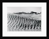 Sand Dunes with Oasis by Anonymous