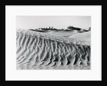 Sand Dunes with Oasis by Anonymous