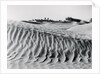 Sand Dunes with Oasis by Anonymous