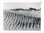 Sand Dunes with Oasis by Anonymous