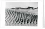 Sand Dunes with Oasis by Anonymous