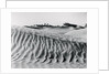 Sand Dunes with Oasis by Anonymous