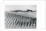 Sand Dunes with Oasis by Anonymous
