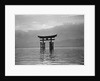 View of Torii in the Sea by Anonymous
