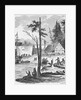 Homes Along River in Early New York by Anonymous
