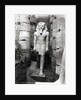 Statue of Ramses II by Anonymous