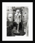 Statue of Ramses II by Anonymous