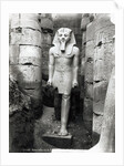 Statue of Ramses II by Anonymous