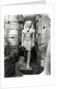 Statue of Ramses II by Anonymous