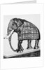 Armor for an Elephant by Anonymous