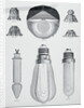 Light Bulbs on Display by Anonymous