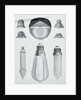 Light Bulbs on Display by Anonymous