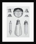 Light Bulbs on Display by Anonymous