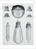 Light Bulbs on Display by Anonymous