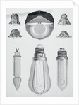 Light Bulbs on Display by Anonymous