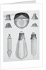 Light Bulbs on Display by Anonymous