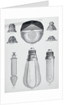 Light Bulbs on Display by Anonymous