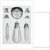 Light Bulbs on Display by Anonymous