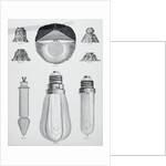 Light Bulbs on Display by Anonymous