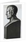 Profile Statuette Depiction of Greek Philosopher Theophrastus by Anonymous