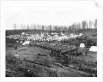 Union Soldiers Drilling by Anonymous
