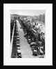 Forest Hills, Long Island by Anonymous