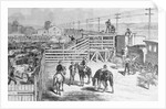 Herders Gathering Cattle for Shipment on Train by Anonymous