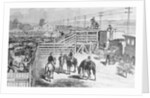 Herders Gathering Cattle for Shipment on Train by Anonymous