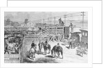 Herders Gathering Cattle for Shipment on Train by Anonymous