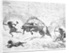 Prehistoric Men Hunting Oxen by Anonymous