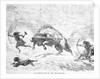 Prehistoric Men Hunting Oxen by Anonymous