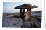 Poulnabrone Dolmen by Anonymous