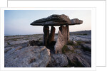 Poulnabrone Dolmen by Anonymous