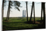 Grove of Trees at Vimy Memorial by Anonymous