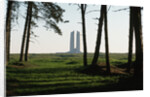 Grove of Trees at Vimy Memorial by Anonymous