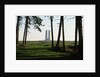 Grove of Trees at Vimy Memorial by Anonymous