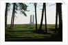 Grove of Trees at Vimy Memorial by Anonymous
